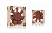 Noctua NOC-NF-A4X10-FLX computer cooling component Computer case Fan 4 cm Beige, Brown 1 pc(s)_6