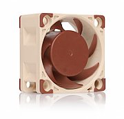 Noctua NF-A4x20 PWM Computer case Fan 4 cm Beige, Brown_1