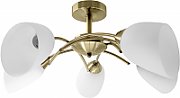 Ceiling light Activejet AJE-NIKITA 5P E27 5x40W Patine_1