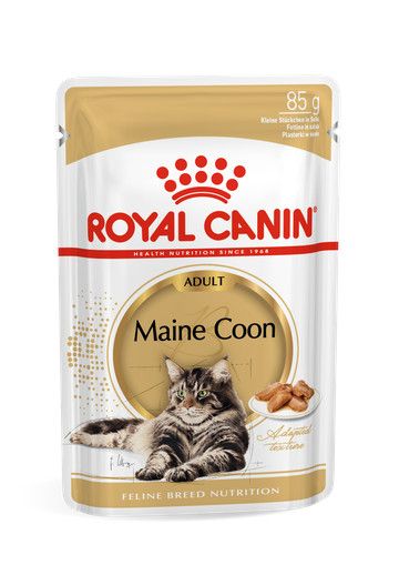 Royal Canin FBN Maine Coon 12x 85g_4