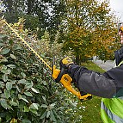 DeWALT DCM563PB-XJ power hedge trimmer Double blade_2