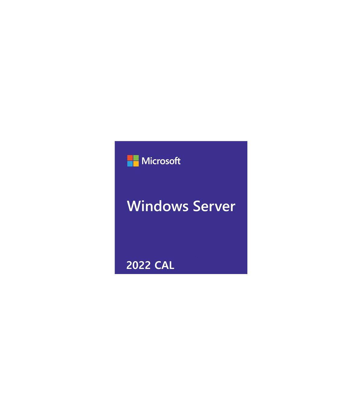 Windows Server CAL 2022 English 1pk DSP OEI 1 Clt Device CAL_2