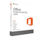 MS OVL Office Pro Plus Lic/SA Pltfm 1Y2Y [NL]_1