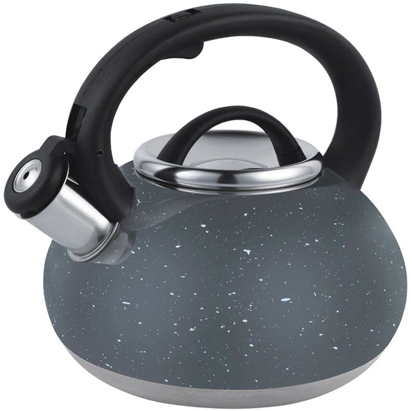 Feel-Maestro MR1302 kettle 2.5 L Stainless steel