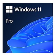 Licenta retail Microsoft Windows 11 Pro 32-bit/64-bit Romanian USB_2