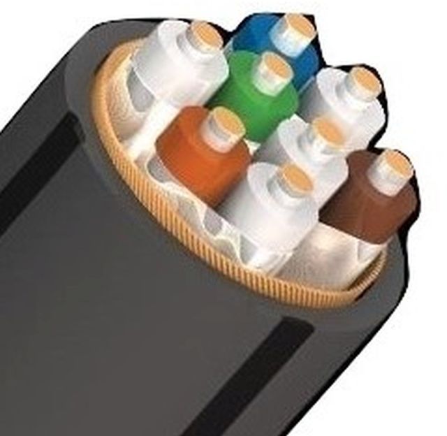 Cablu retea CAT700 AudioQuest Carbon, 5% Argint (vanzare la metru)