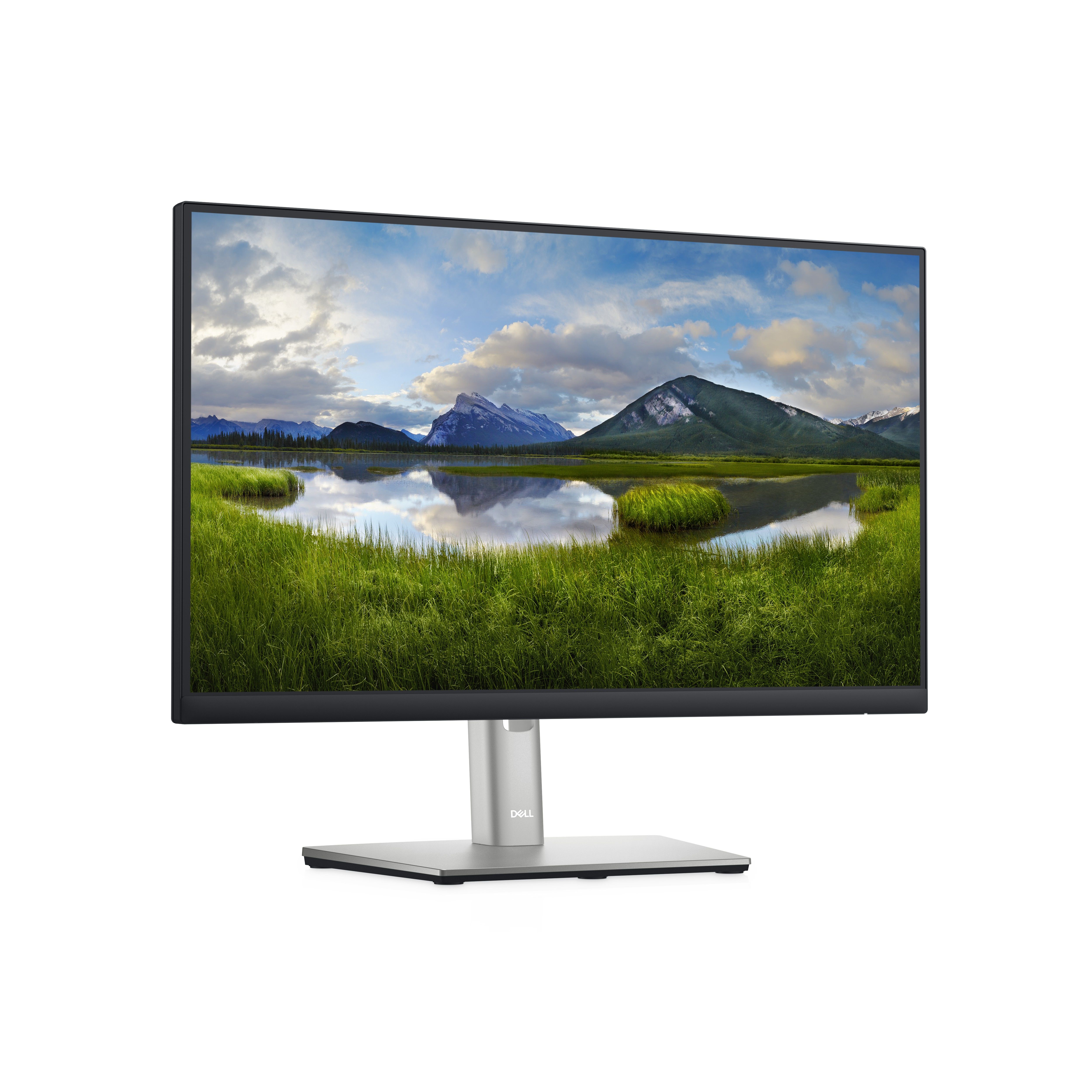 DELL P Series 22 Monitor - P2222H_2