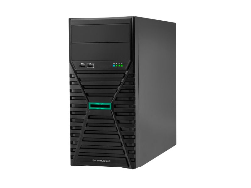 SERVER ML30 GEN11 E-2414/P65093-421 HPE_9