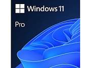 Licenta Microsoft Windows 11 Pro 64-bit ENG INTL, 1PK, DSP OEI DVD_2