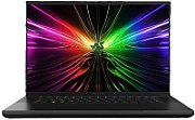 RAZER Blade 16 (S10-NT/Win-11/Dual UHD+FHD+ mini-LED/-14900HX/64GB DDR5/RTX 4090/4TB SSD/PCIe Gen4)_3