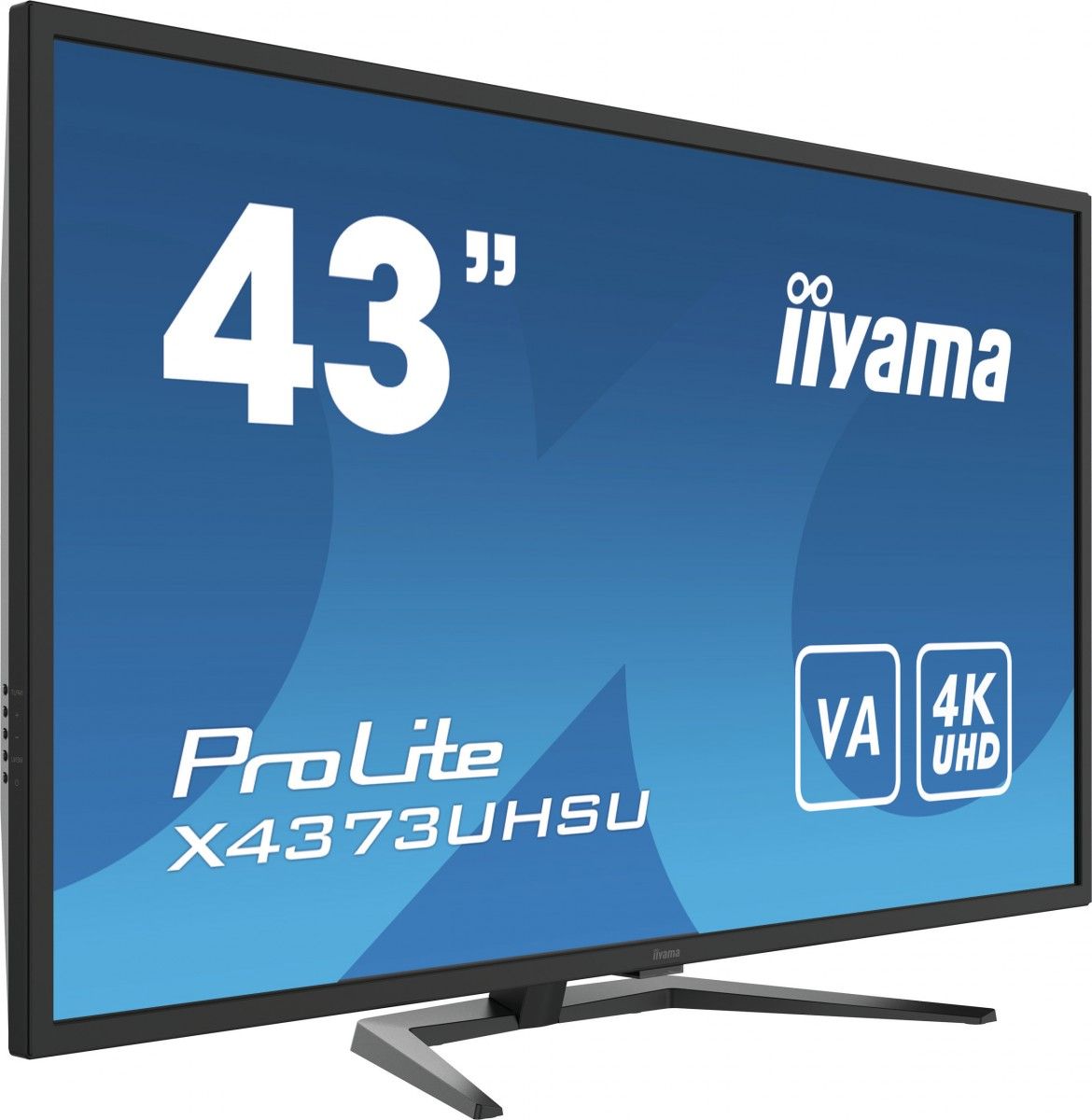 Iiyama Monitor 43