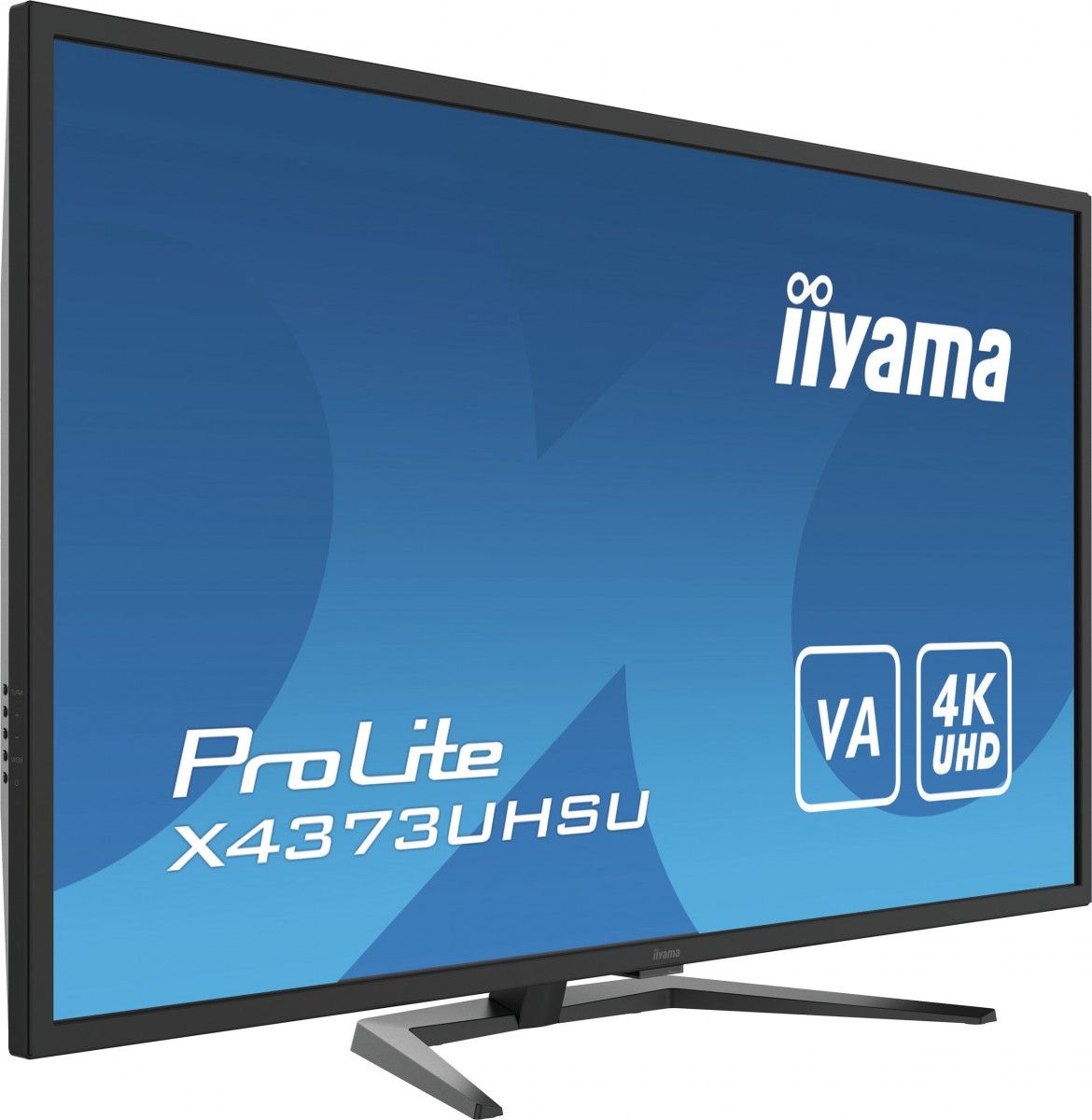 Iiyama Monitor 43