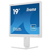 IIYAMA B1980D-W5 19inch WHITE TN-panel 1280x1024 13cm Height Adj. Stand Pivot VGA DVI 250cd/m 5ms_3