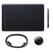 INTUOS PRO M SOUTH/IN_1