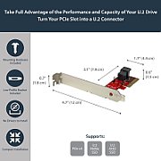 U.2 2.5IN NVME SSD ADAPTER/IN_6