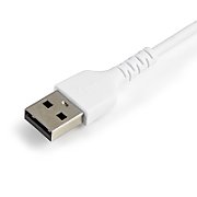 30CM USB TO LIGHTNING CABLE/._2