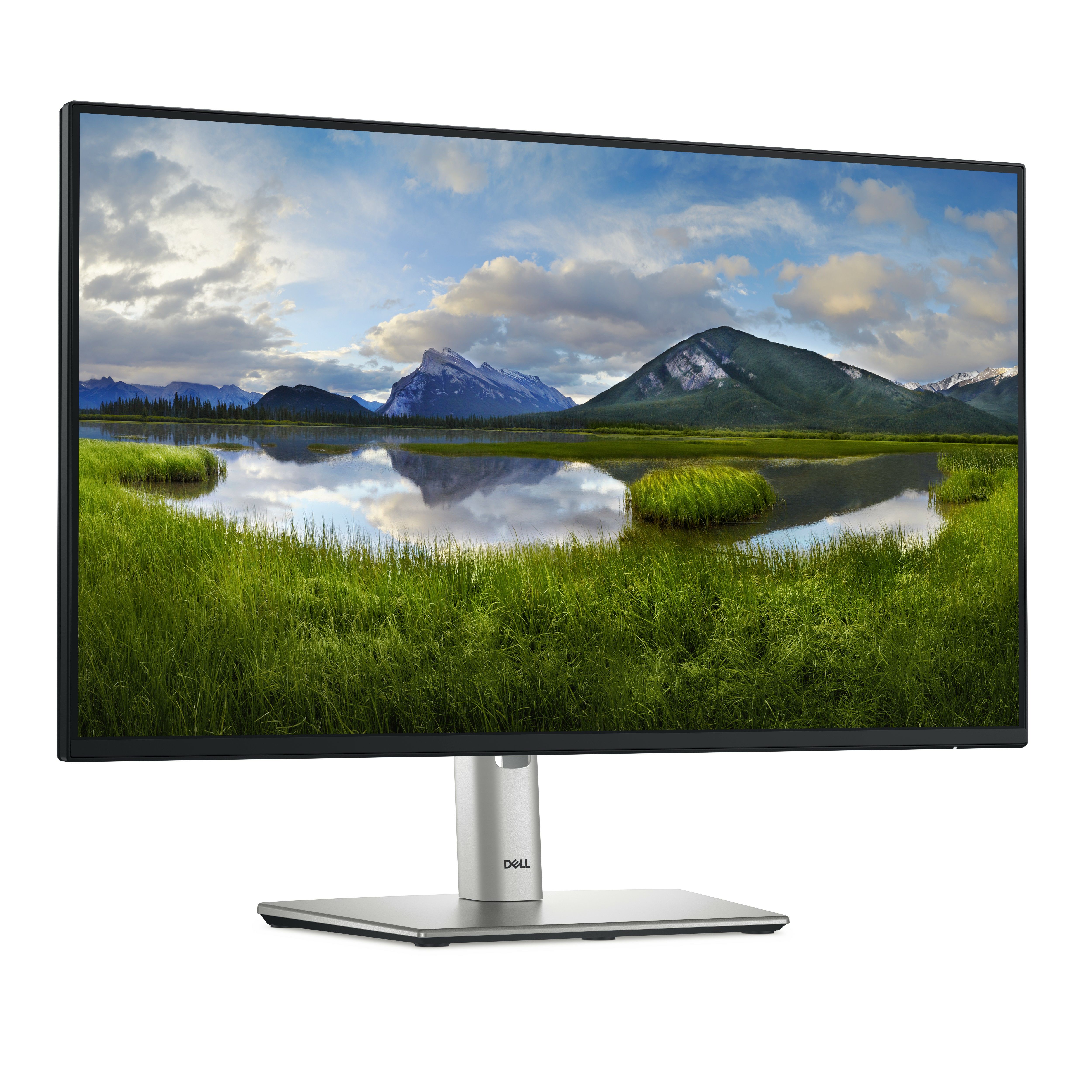 DELL 24 USB-C HUB MONITOR -/P2425HE_3