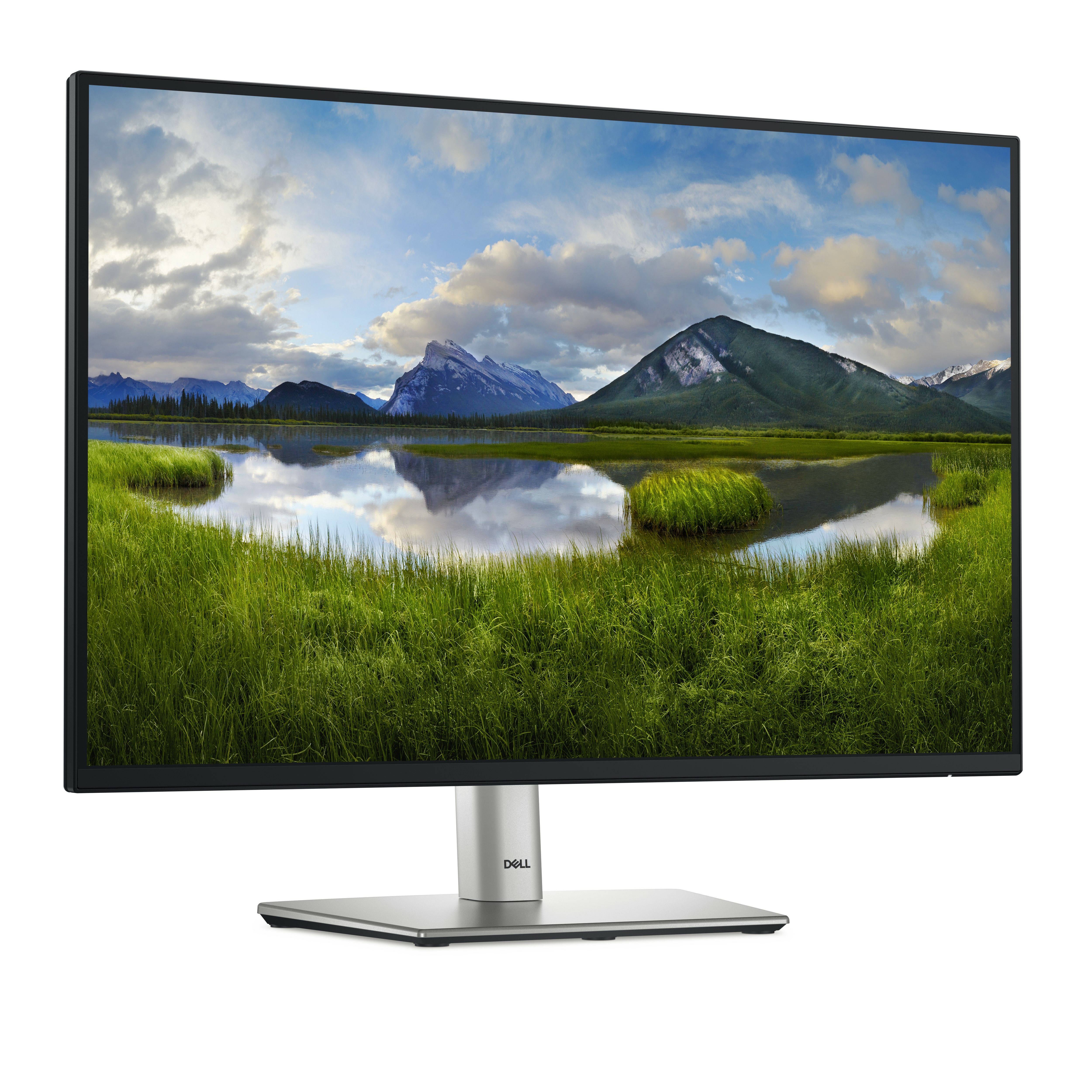 DELL 24 MONITOR - P2425/_3