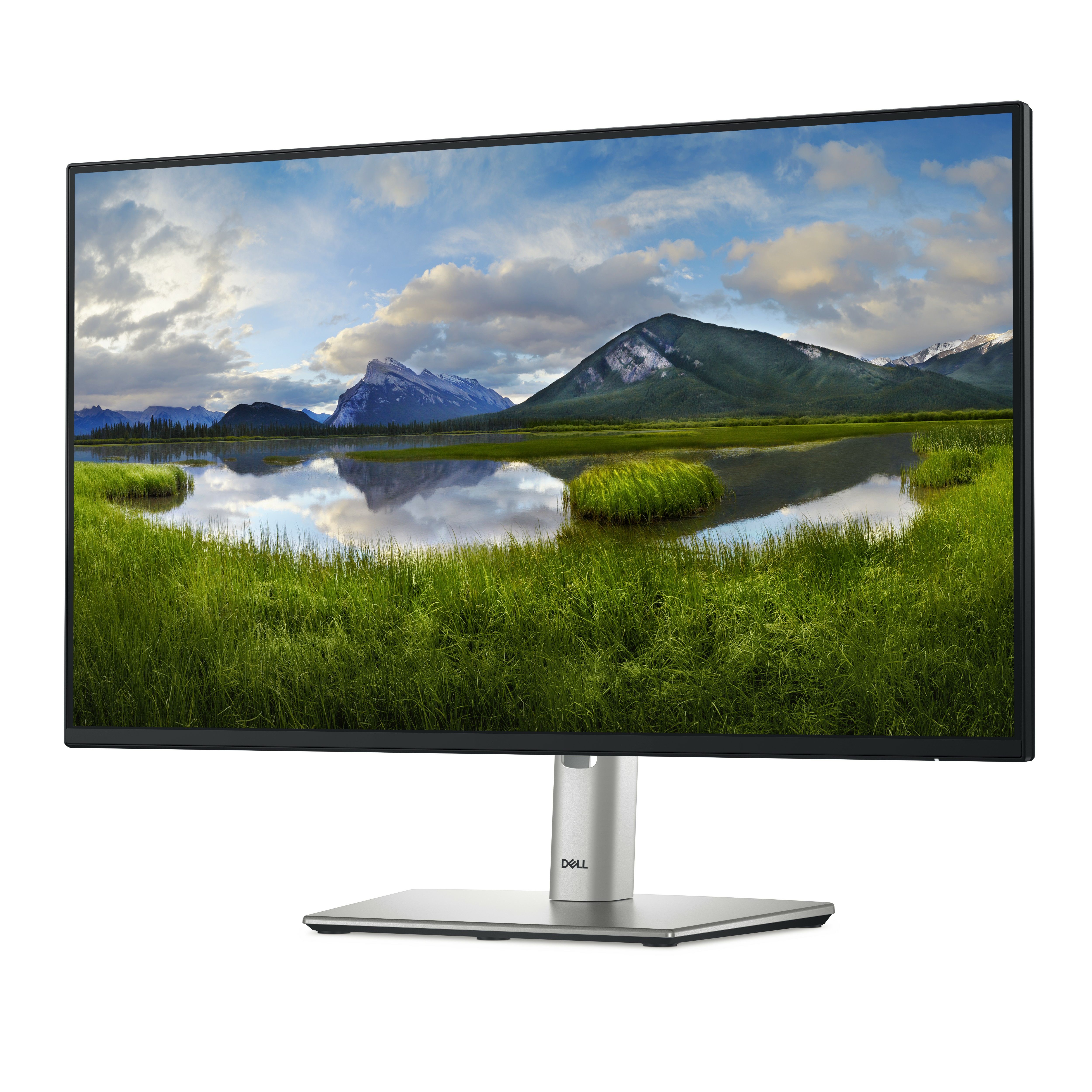 DELL 24 MONITOR - P2425H/_2