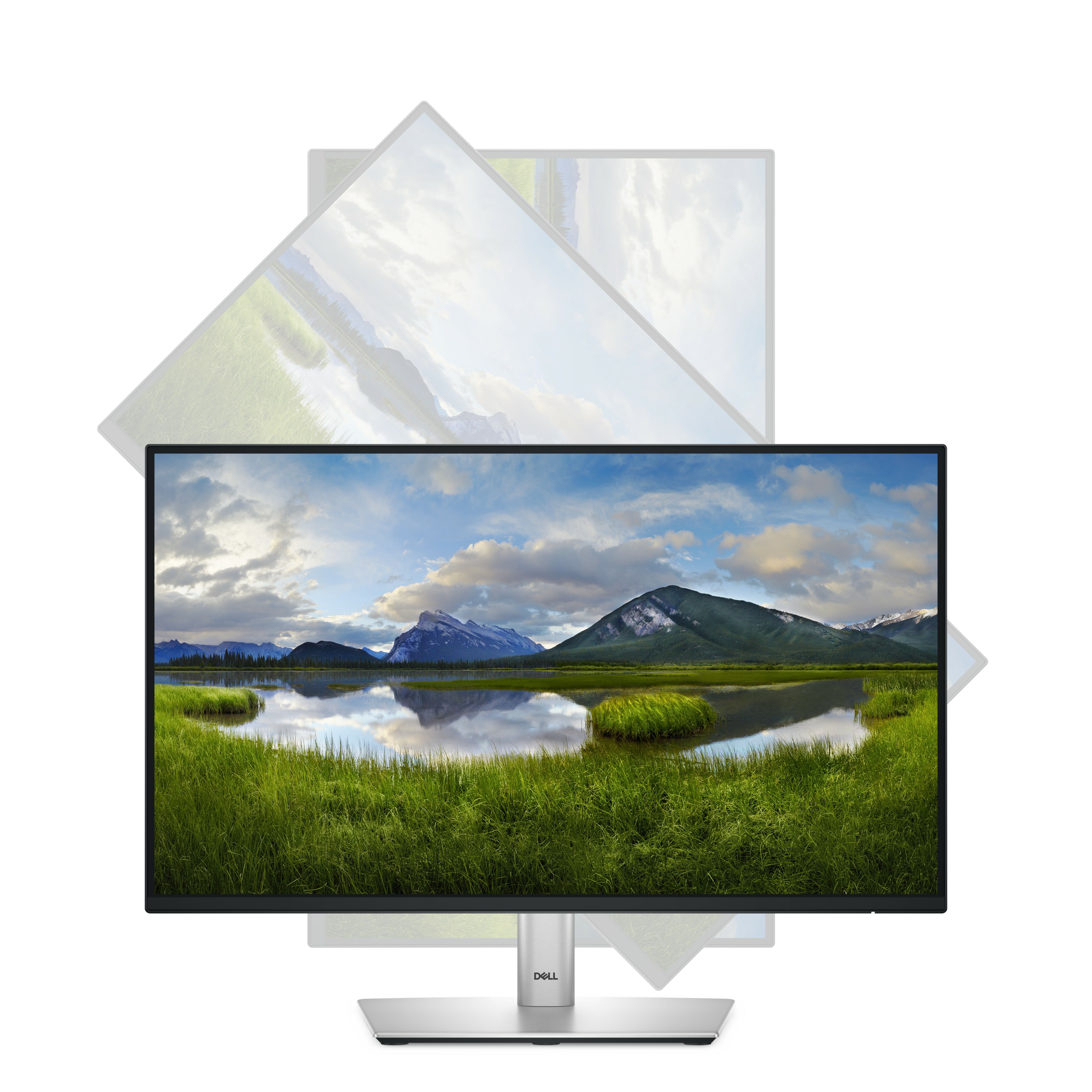 DELL 22 MONITOR - P2225H/_11