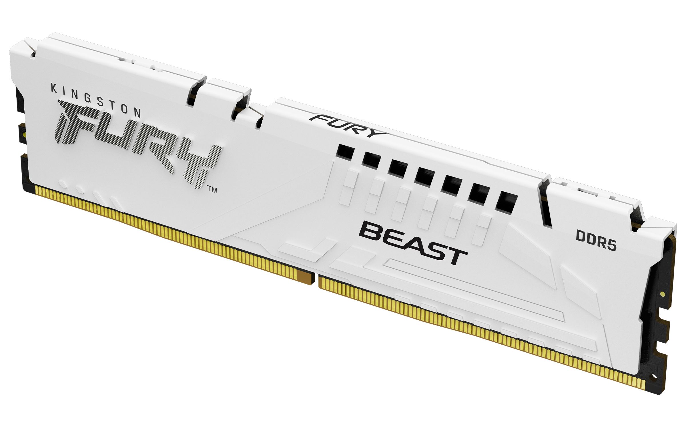 32GB DDR5-5200MT/S CL36 DIMM/(KIT OF 2) FURY BEAST WHITE EXPO_2