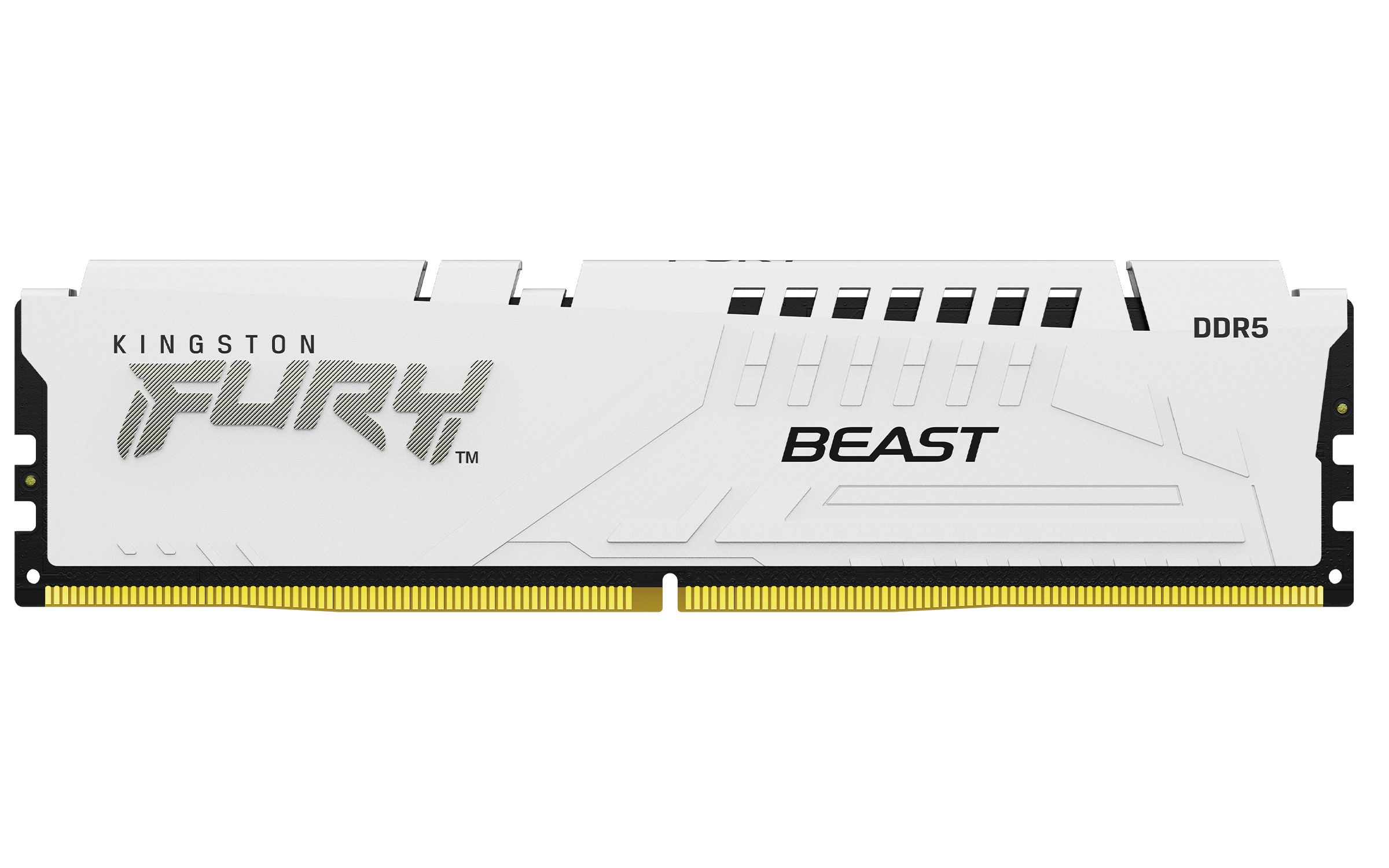 32GB DDR5-5200MT/S CL36 DIMM/(KIT OF 2) FURY BEAST WHITE EXPO_14