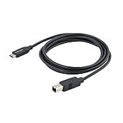 2M 6FT USB 2.0 C TO B CABLE/CABLE - USB 2.0 - 6FT_2