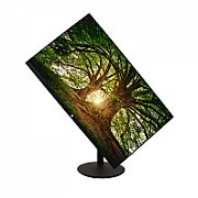 23.8IN HT ADJUST IPS MONITOR/1080P VGA HDMI DP SPEAKER_3