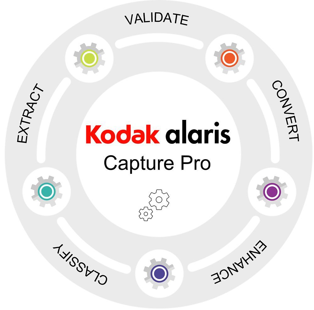 RENEWAL CAPTURE PRO GR.C 3 J/.