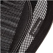 Fellowes Ergonomics professional mesh back support cushion_4