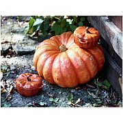 Mini Cocotte Round Pumpkin Staub - 500 ml  Orange