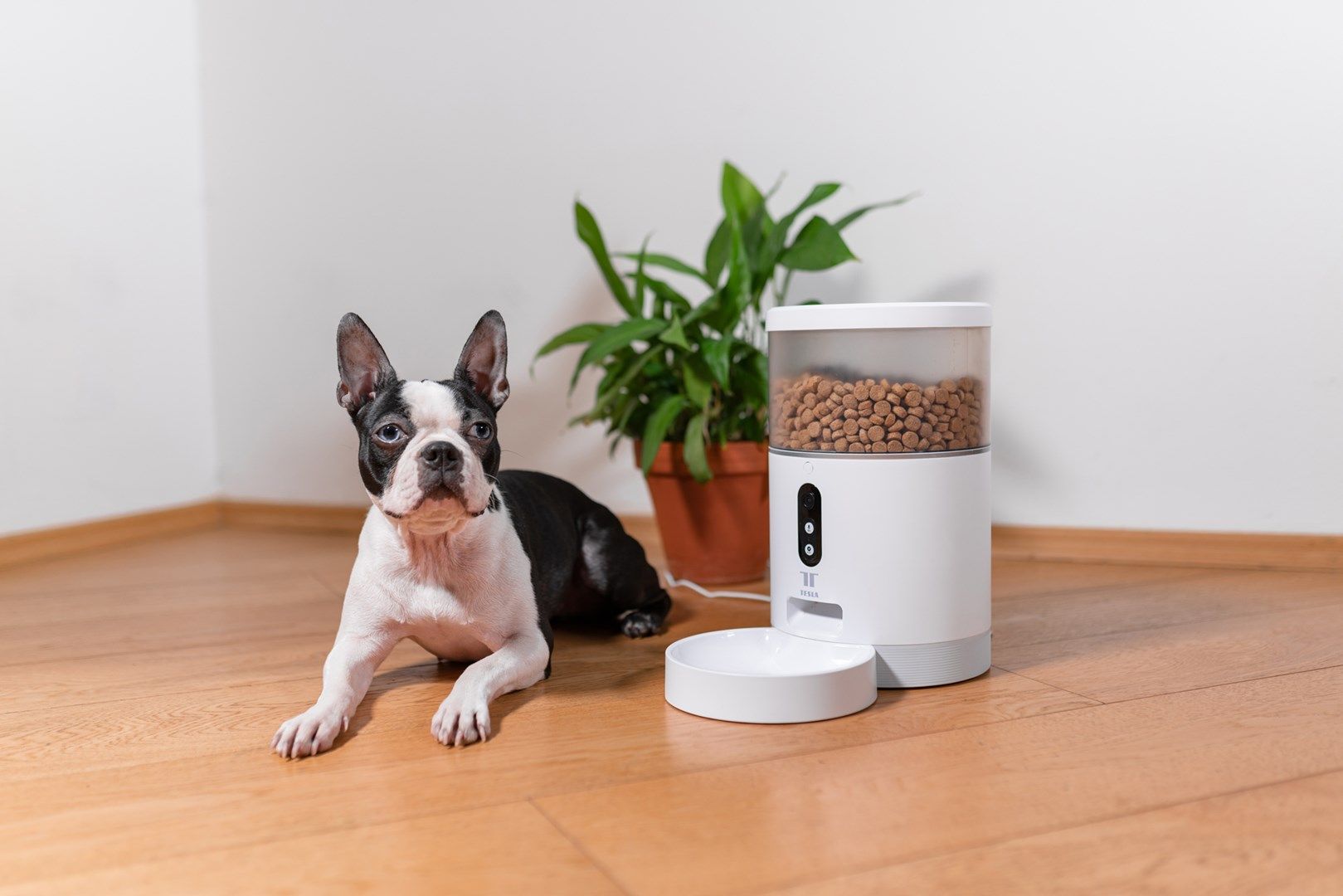 TESLA TSL-PC-BL4C Smart Pet Feeder Camera_9