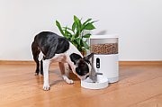 TESLA TSL-PC-BL4C Smart Pet Feeder Camera_10