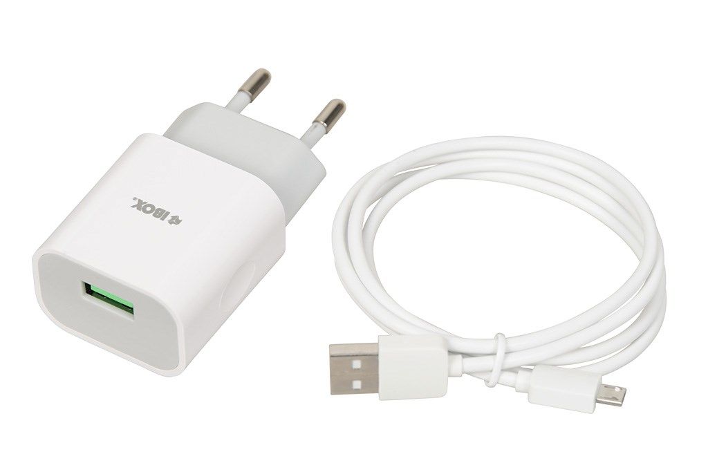 iBOX C-41 universal charger with micro USB cable  white_2