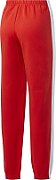 Reebok Women's Pants Te Linear Logo Fl P red FT0905_2