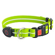 DOGGY VILLAGE Signal collar MT7116 green - LED dog collar - 60cm_1