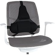 Fellowes Professional back support - Professional Series_3