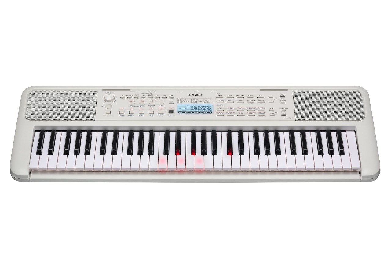 Yamaha EZ-310 - Keyboard_2