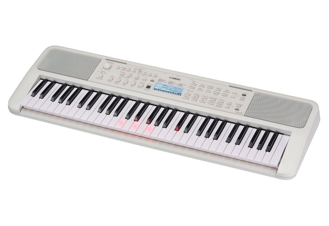 Yamaha EZ-310 - Keyboard_3