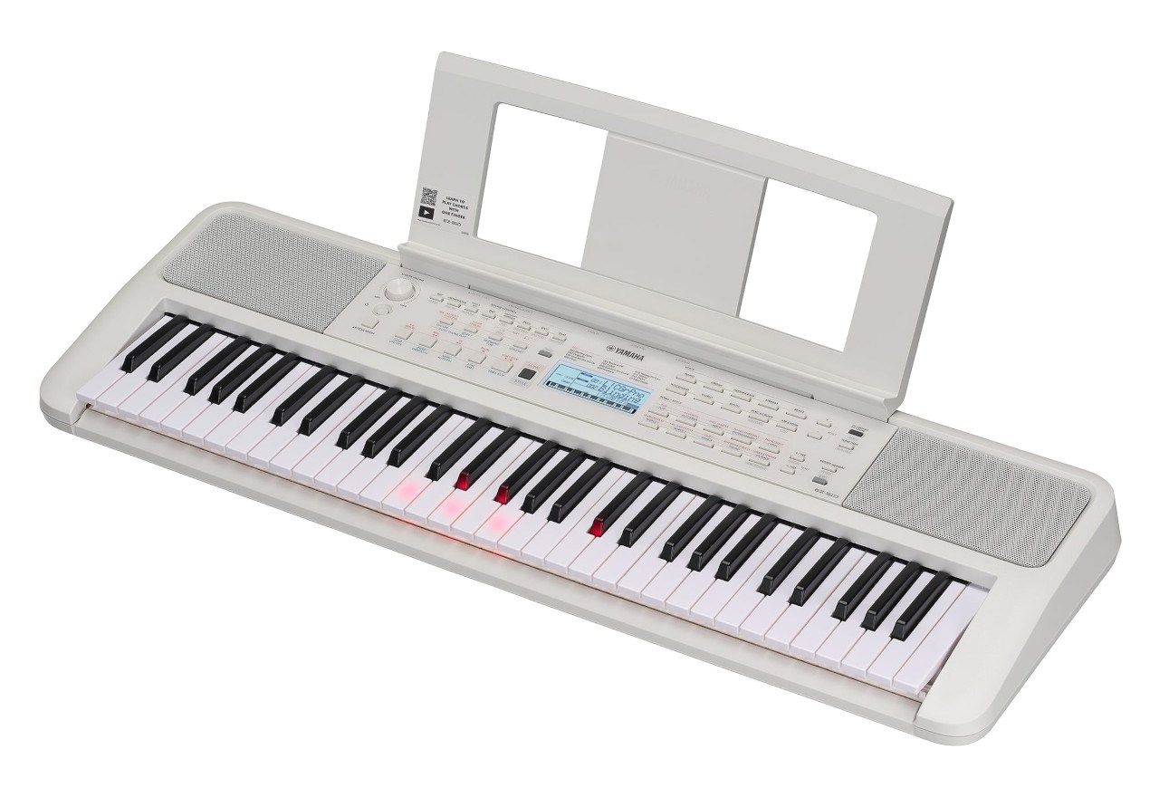 Yamaha EZ-310 - Keyboard_4