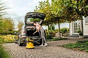 Kärcher WD 5 V-25/5/22 Black  Yellow 25 L 1100 W