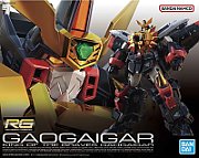 RG GAOGAIGAR_2