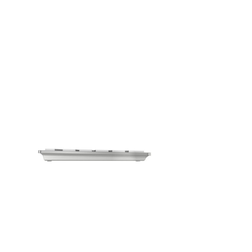 KW 9100 SLIM FOR MAC KEYBOARD/WIRELESS SILVER FRANCE_5