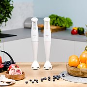 Blender ręczny ZELMER ZHB4560I
