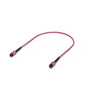 Ubiquiti UACC-OFC-MA-MPMP-0.5M OM4 MPO-12 UPC Cablu de fibră optică Patch