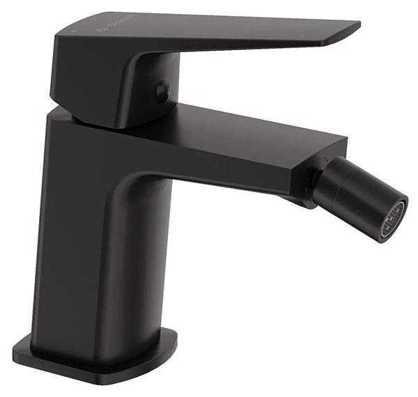 Bidet Faucet