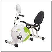 Horizontal magnetic bicycle white and green HMS R9259