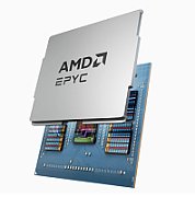 Procesor server AMD EPYC 9535, socket SP5, 64C / 128T, 2.40 - 4.30 GHz, 256 MB cache, 300 W