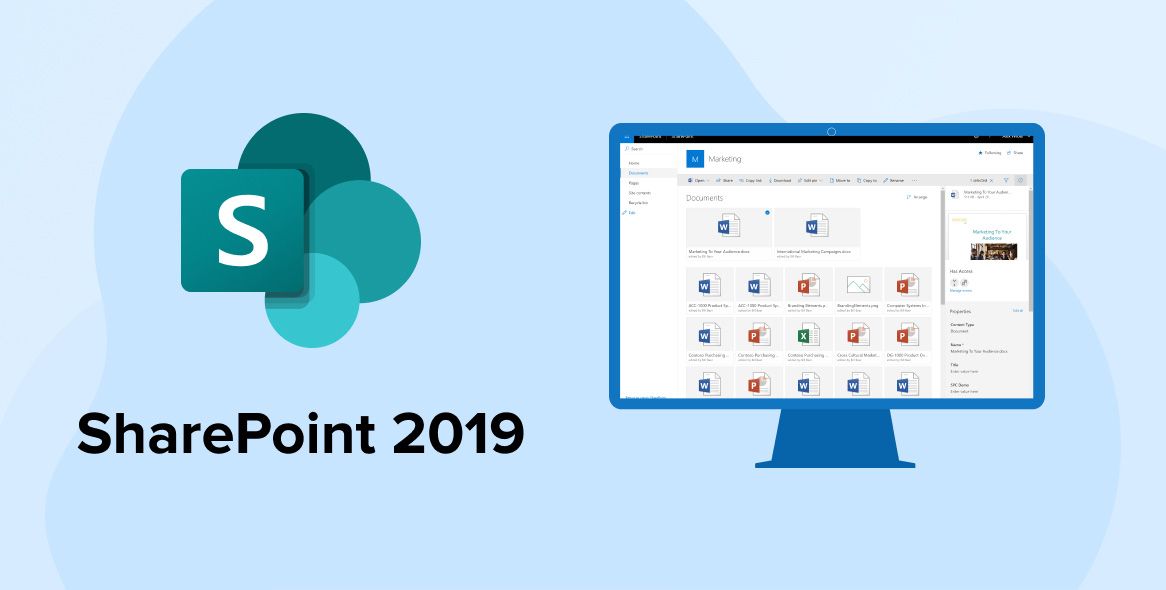 CSP SharePoint Server 2019 EDU [P]