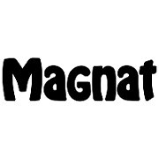 Magnat image